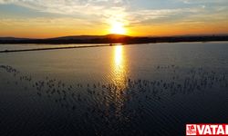 Ekoloji tutkunları ve kuş gözlemcileri için doğal bir cennet: Etang de l'Arnel lagünü