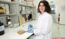 Hitit Üniversitesinde çiğdem çiçeğinin cilt hastalıklarının tedavisinde etkili olabileceği belirlendi