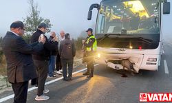 Karabük'te otobüs yola çıkan domuza çarptı