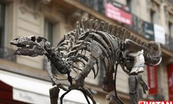 Camptosaurus fosili Paris'te açık artırmaya çıkarılacak