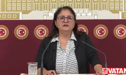 Yeşil Sol Parti'li Kordu, FEDAŞ işçilerinin taleplerinin karşılanmasını istedi