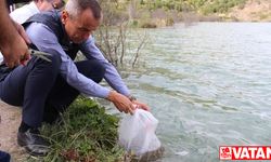 Karabük'te göl ve göletlere 30 bin sazan yavrusu bırakıldı