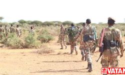 Somali'de Eş-Şebab operasyonunda en az 20 örgüt üyesi öldü