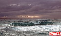 Atlantik Okyanusu'ndaki Lee Tropik Fırtınası, 4. kategoride kasırgaya dönüşebilir