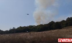 Kocaeli'de ormanlık alanda çıkan yangın kontrol altına alındı