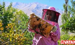Pembe kıyafetli kadınlar yaylada bal hasadına başladı