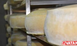 Çeşit çeşit peynirin yayladan sofraya yolculuğu müzede anlatılıyor