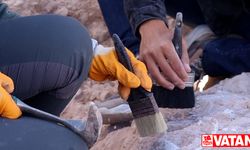 Arkeologlar dünyanın en eski ahşap yapısını keşfetmiş olabilir