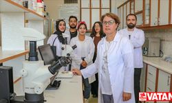 Van'da 25 yıllık çalışmayla 13 mikroorganizma içeren mikrobiyal gübre geliştirildi