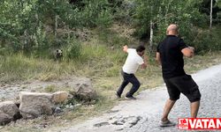 Nemrut Kalderası'na gelen ziyaretçilere bozayıları elle beslememeleri uyarısı