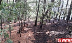 Kazdağları'ndaki orman yangını söndürüldü