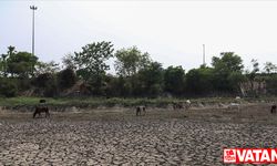 Hindistan, son 122 yılın en kurak ağustosunu geçirdi
