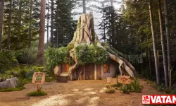 'Shrek' hayranları, Ogerin bataklık evinde konaklayabilecekler!