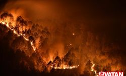 Avustralya'nın Yeni Güney Galler eyaletinde dün 85 yangın çıktı