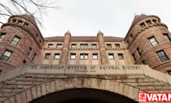 New York Doğa Tarihi Müzesi insan kalıntılarını sergilerden kaldırıyor