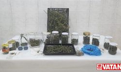 Sakarya'da bir ayda düzenlenen uyuşturucu operasyonlarında 7 şüpheli tutuklandı