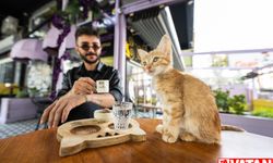 Ankara'nın ilk "kedi" konseptli kafesine müşterilerden yoğun ilgi