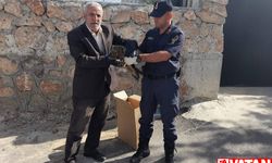 Elazığ'da yaralı bulunan 2 baykuş koruma altına alındı