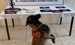 Zonguldak'ta asayiş uygulamasında 5 şüpheli tutuklandı