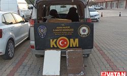 Adana'da kaçakçılık operasyonunda 14 şüpheli yakalandı
