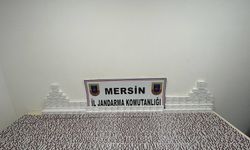 Mersin'de 14 bin uyuşturucu hap ele geçirildi