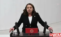 CHP Genel Başkan Yardımcısı Dinçer: Ev sahipliği oranı düşüyor