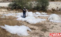 Sivas'ta arazide çok sayıda gelinlik bulundu