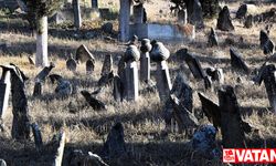 Araştırmacılar Osmanlı'da ipekçiliğin merkezi Küplü köyünün tarihini mezar taşlarından okudu