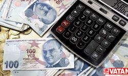Geçen yıl gayrisafi milli hasılaya en fazla katkı mali olmayan şirketlerden geldi