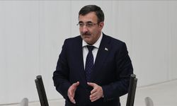 Cumhurbaşkanı Yardımcısı Yılmaz: Demokrasinin ve kalkınmanın düşmanı terördür