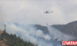 Hatay'daki orman yangınının sigara izmaritinden kaynaklandığı öne sürüldü