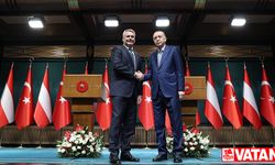 Avusturya Başbakanı Nehammer: Türkiye ile yoğun bir ekonomik işbirliği yapmak istiyoruz