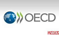 OECD: Metropol ve kırsal arasında gelir eşitsizliği büyüyor