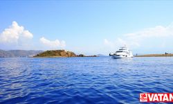 Çocuklar Akdeniz foklarının önemini farkındalık projesiyle öğrenecek