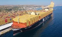 Dünyanın en büyük konteyner gemilerinden "MSC Türkiye" Tekirdağ'a geldi