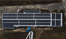 Kastamonu'da sarımsak fabrikasının enerjisi güneşten karşılanıyor