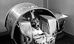 Tarihte Bugün: Sovyetler Birliği, bir köpeği uzaya fırlattı