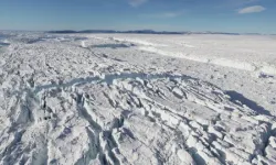Grönland'ın Kuzey Buzulları tehlikede: "dramatik" deniz seviyesi yükselmesi tehlikesi