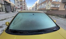 Erzurum, Kars ve Ardahan'da soğuk hava etkili oldu