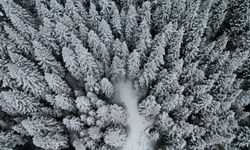 Kastamonu ormanlarında sonbahar ve kış güzelliği bir arada