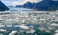 Grönland'daki binlerce buzul hızla küçülüyor