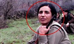 MİT, terörist Gülsüme Doğan'ı etkisiz hale getirdi