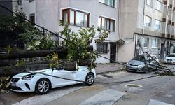 Bursa'da lodos nedeniyle ağaç ve elektrik direği araçların üzerine devrildi