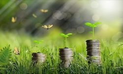Yeşil dönüşümün finansmanı için Türkiye Yeşil Fonu geliyor