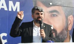 HÜDA PAR'lı Dinç, sahipsiz köpek sorununa bir an önce çözüm bulunmasını istedi