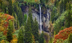 Doğu Karadeniz’in doğal sit alanı Papart Vadisi