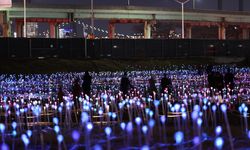 Bruce Munro'nun 'Işık Tarlası' gösterisi ziyarete açıldı