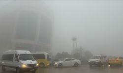 Mardin'de yağmur ve sis etkili oldu