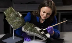 National Museums Scotland’ın Roma zırh korumasının restorasyonu