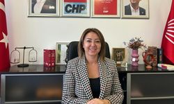 CHP'li Binici'den seçmenlere "Listeleri kontrol edin" çağrısı